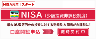 NISA�i�j�[�T�j