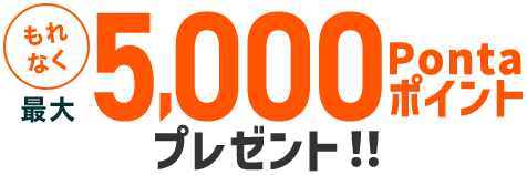 もれなく最大5,000Pontaポイントプレゼント