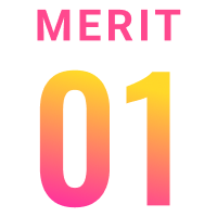 MERIT 01