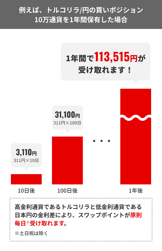 例えば、トルコリラ/円の買いポジション10万通貨を1年間保有した場合