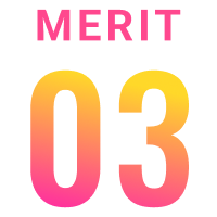MERIT 03