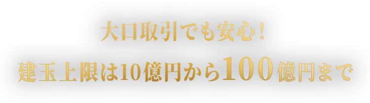 大口取引でも安心！建玉上限は10億円から100億円まで