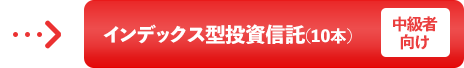 インデックス型投資信託（10本）