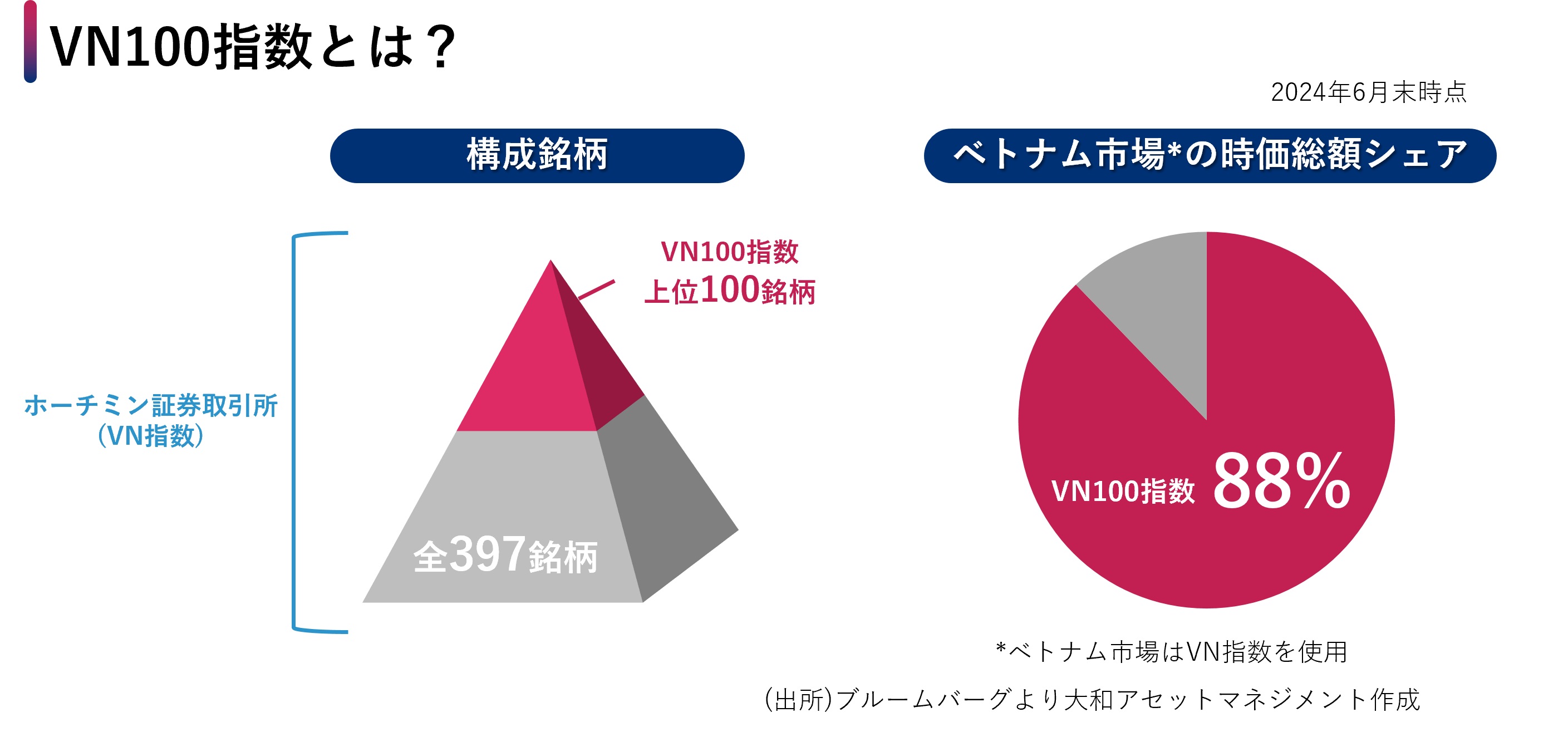 VN100指数とは?